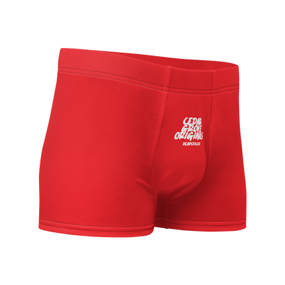 Boxer Briefs