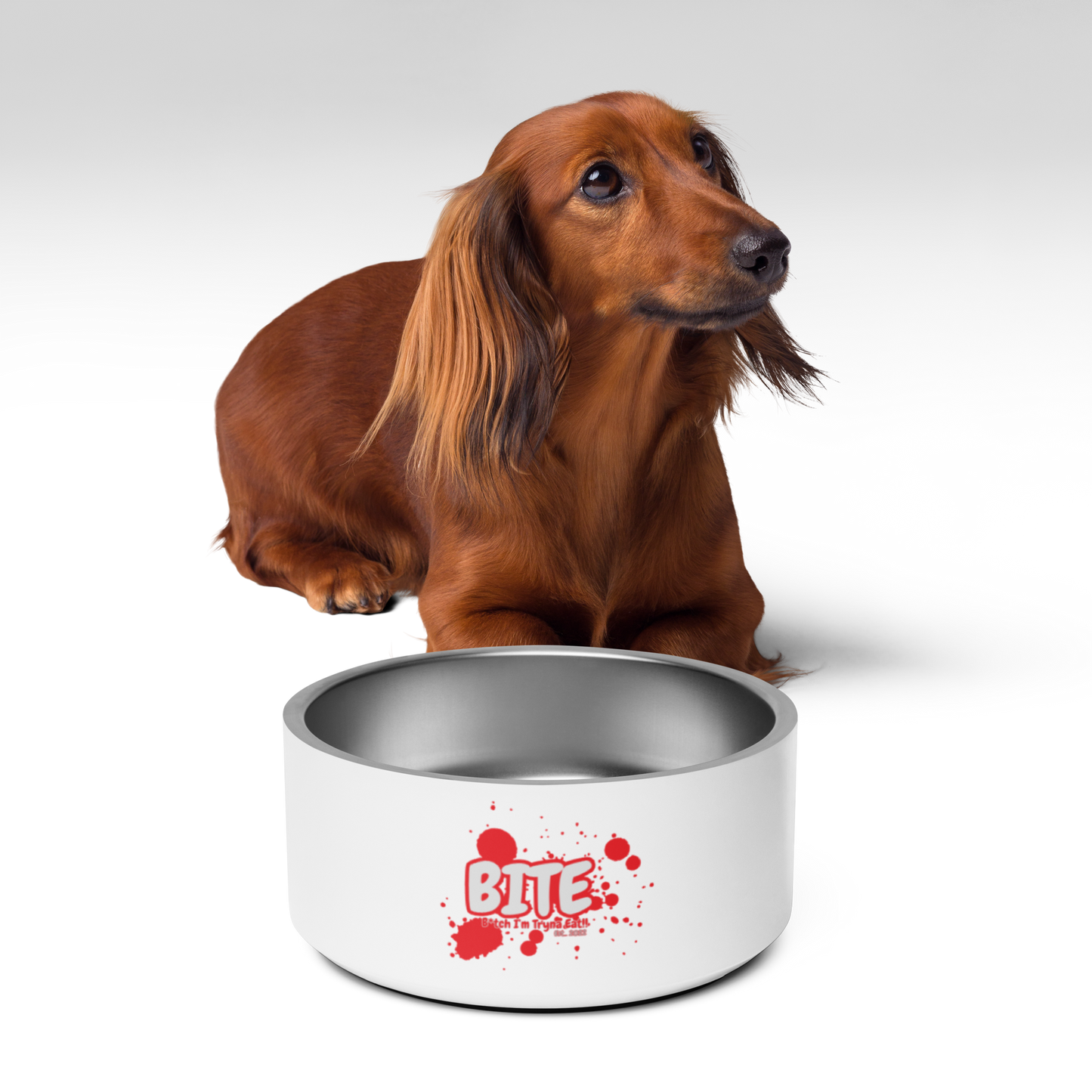 Bite Summer Splash Pet bowl